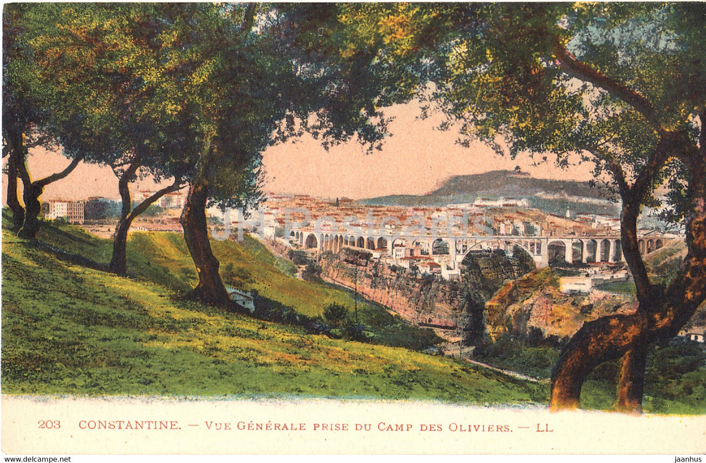 Constantine - Vue Generale prise du Camp des Oliviers - 203 - LL - old postcard - Algeria - unused - JH Postcards