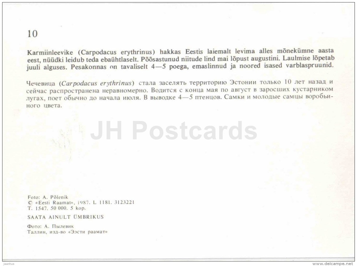 Common rosefinch - Carpodacus erythrinus - bird - Estonian Birds - 1987 - Estonia USSR - unused - JH Postcards