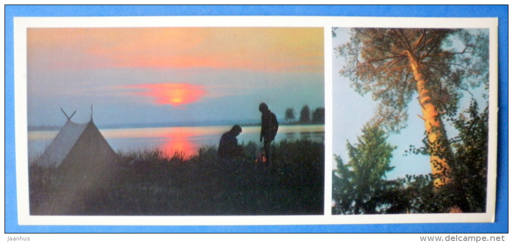 tent - pine - Moscow Oblast - Podmoskovye - 1977 - Russia USSR - unused - JH Postcards