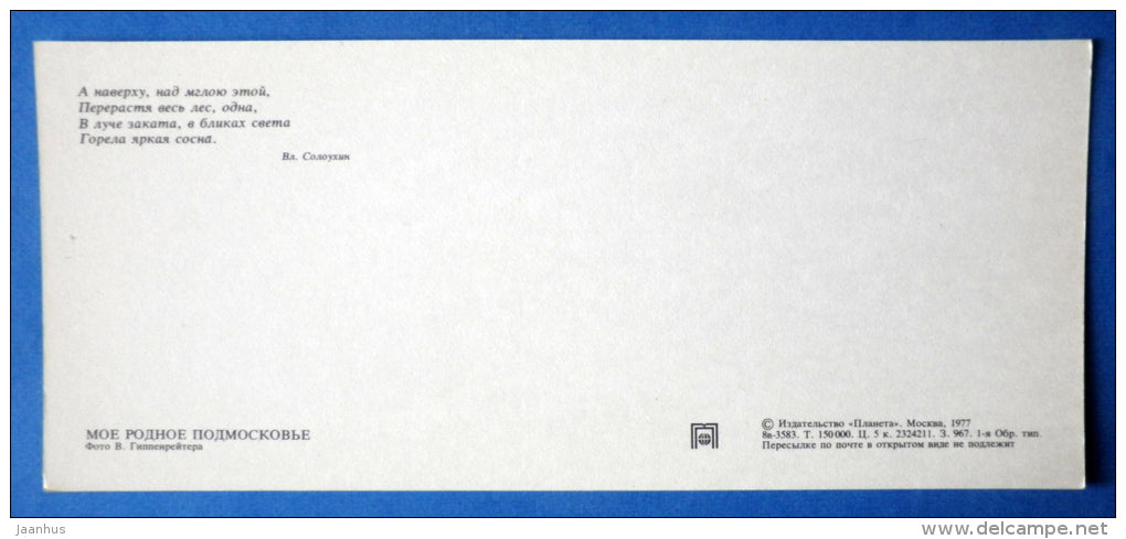tent - pine - Moscow Oblast - Podmoskovye - 1977 - Russia USSR - unused - JH Postcards