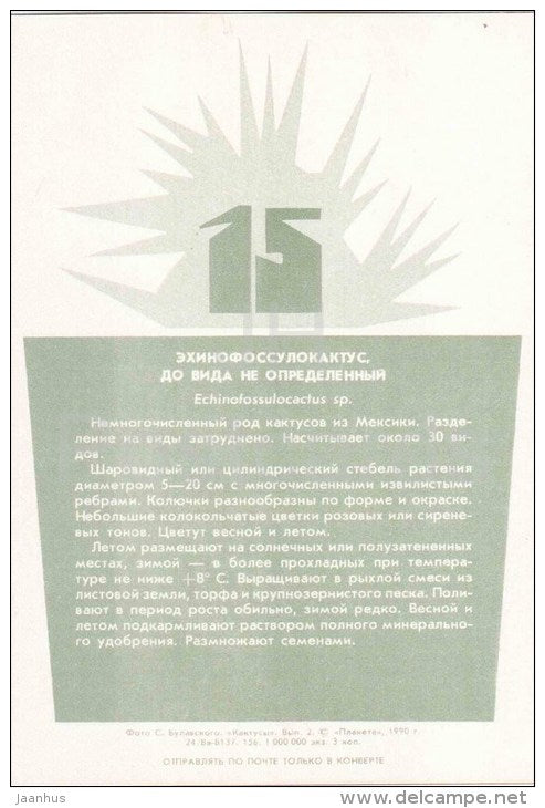 Echinofossulucactus - cactus - plants - 1990 - Russia USSR - unused - JH Postcards