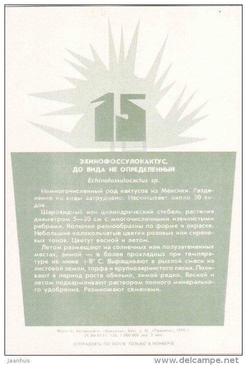 Echinofossulucactus - cactus - plants - 1990 - Russia USSR - unused - JH Postcards
