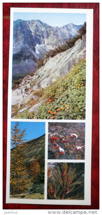 mountain - plants - Barguzinsky Nature Reserve - near lake Baikal - 1975 - Russia USSR - unused - JH Postcards