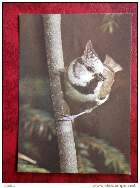 European Crested Tit - Lophophanes cristatus - birds - 1987 - Estonia - USSR - used - JH Postcards