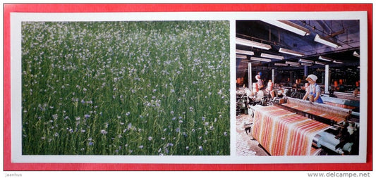 Veliki Luki Cotton Mill - flax flowers - Pskov Land - 1983 - Russia USSR - unused - JH Postcards