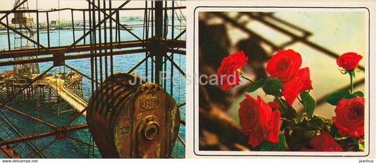 Neftyanye Kamni - Neft Daslari - Oil Plant - Oil Rigs - flowers - 1975 - Azerbaijan USSR - unused - JH Postcards