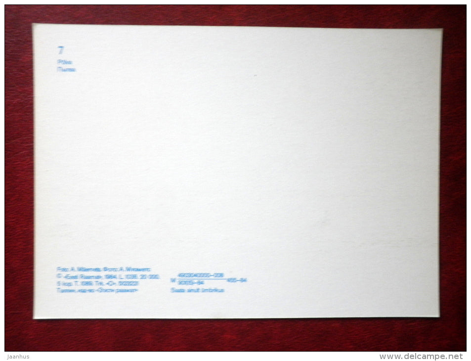 town Põlva - department store - 1984 - Estonia USSR - unused - JH Postcards