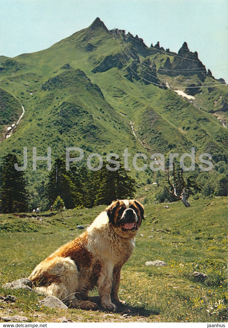 En Auvergne - Le Secouriste du Sancy - Saint Bernard - dog - France - unused - JH Postcards