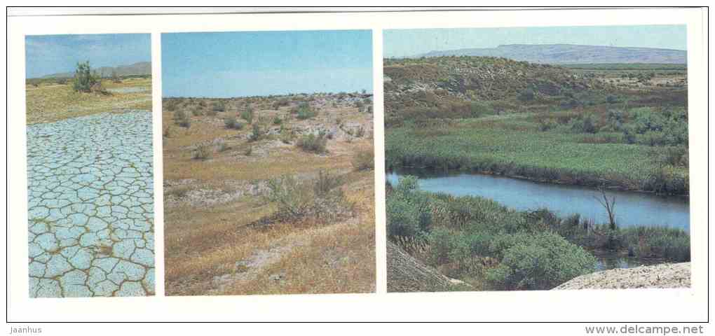 Desert - Tigrovaya Balka Nature Reserve - 1983 - Russia USSR - unused - JH Postcards