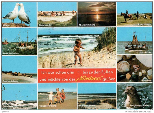 Nordsee - Baltic sea - Möwen - Krabbenfischer - Seehundsbank - Muscheln - Fischkutter - Germany - 1988 gelaufen - JH Postcards