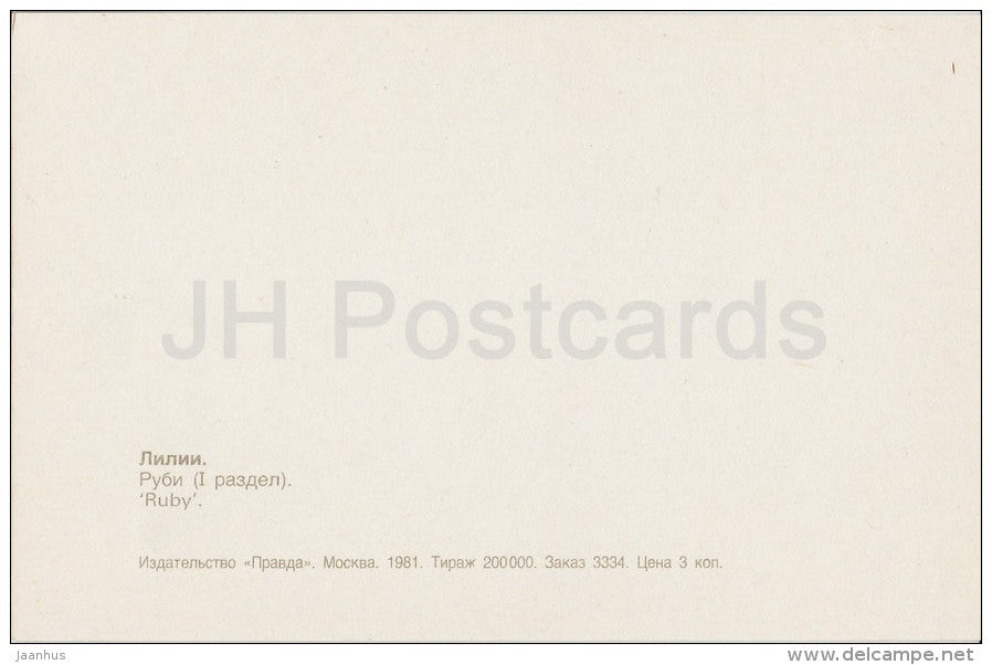 Ruby - flowers - Lily - Russia USSR - 1981 - unused - JH Postcards
