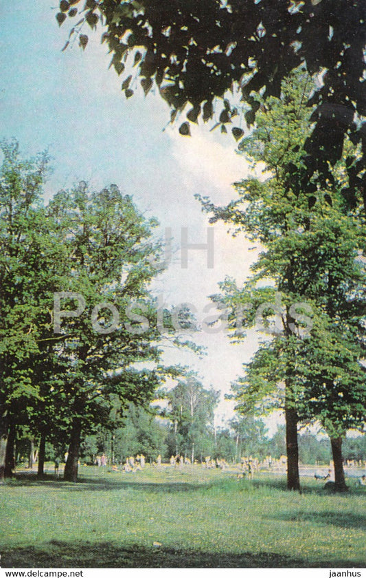Moscow - Sokolniki - A Corner in the Sokolniki park - 1965 - Russia USSR - unused - JH Postcards