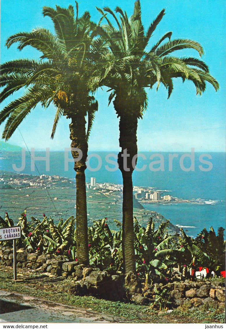 Puerto de la Cruz - Tenerife - Palmeras y plantaciones de bananas - Banana plantation - 400 - 1978 - Spain - used - JH Postcards