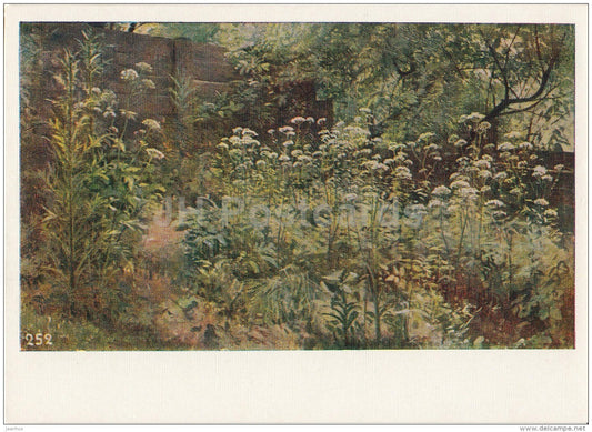 painting by I. Shishkin - Goutweed - plants - Russian art - 1958 - Russia USSR - unused - JH Postcards