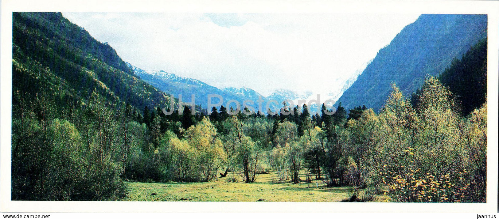 Teberda Nature Reserve - Reserved forests - 1982 - Russia USSR - unused - JH Postcards