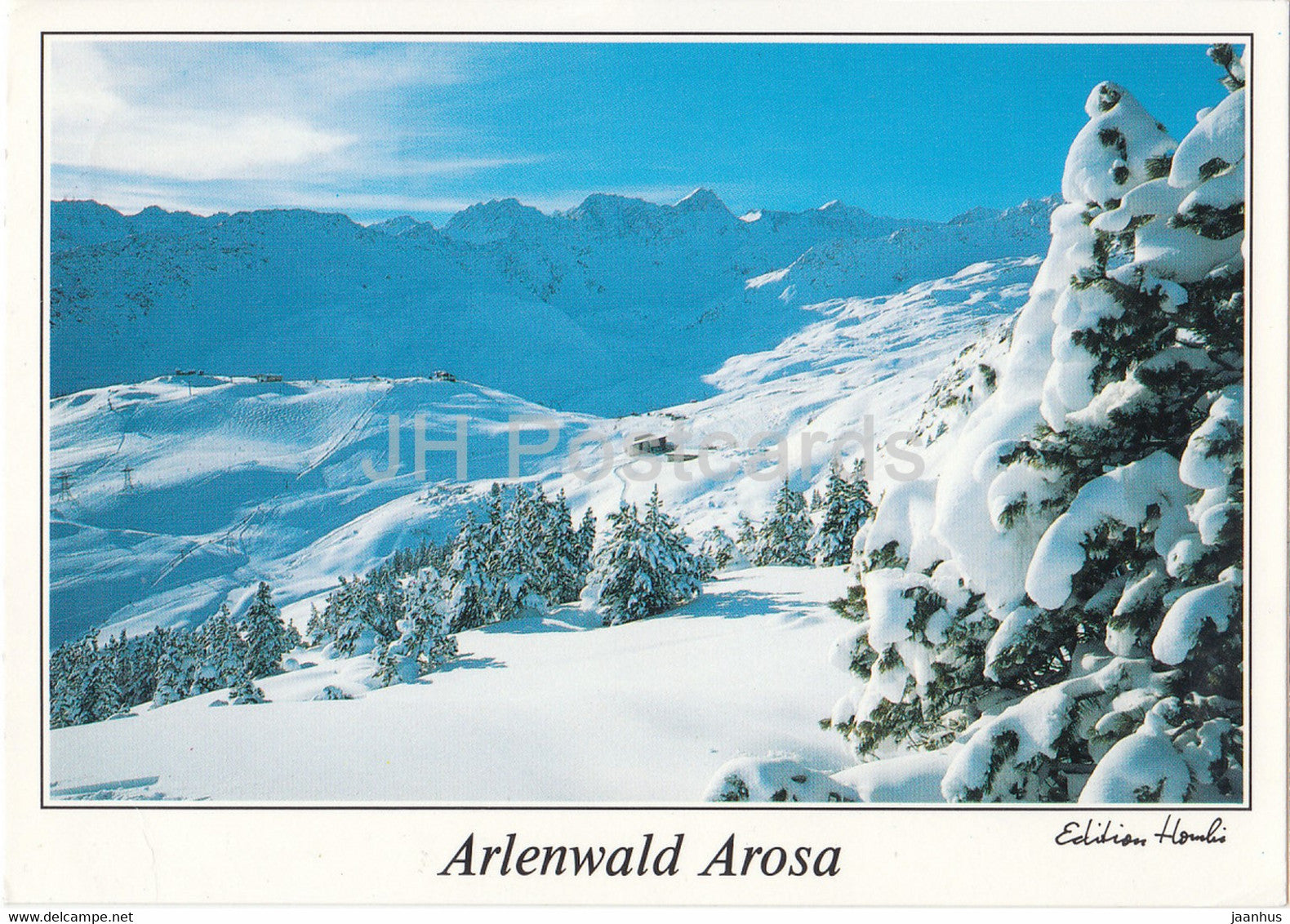 Arlenwald Arosa - Tschuggen vom Arlenwald mit Erzhorn und Rothorn 2980 m - 1995 - Switzerland - used - JH Postcards
