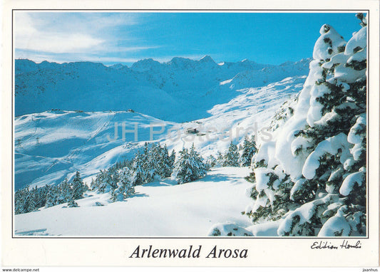 Arlenwald Arosa - Tschuggen vom Arlenwald mit Erzhorn und Rothorn 2980 m - 1995 - Switzerland - used - JH Postcards