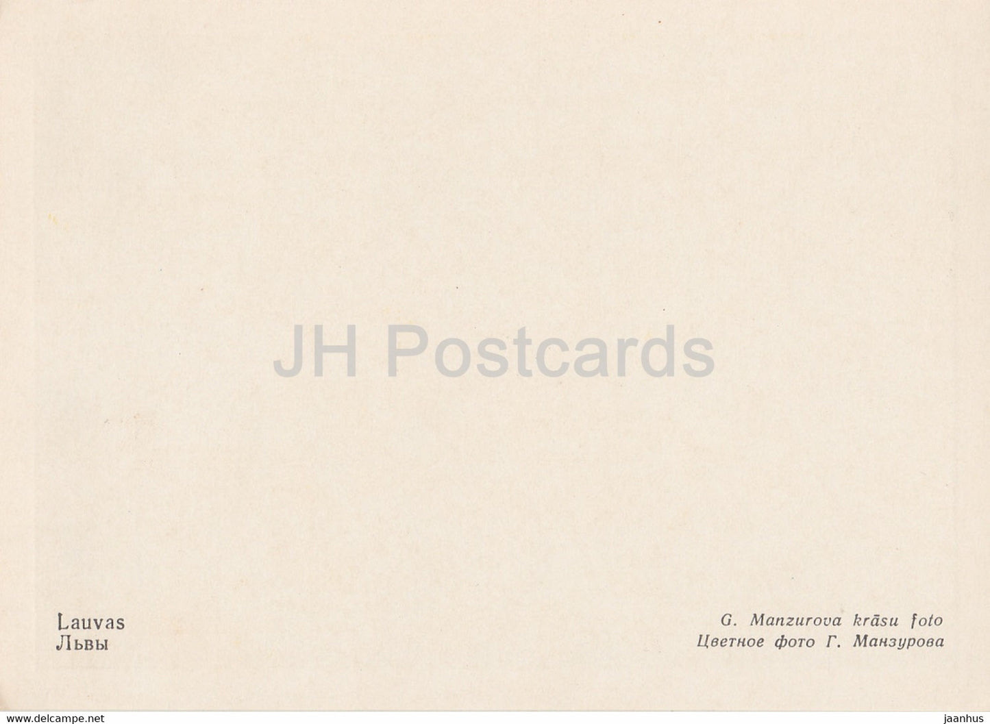 Riga Zoo - Lion - Latvia USSR - unused