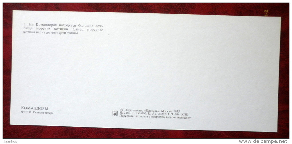 Fur Seals  - Komandorski Commander islands - 1975 - Russia USSR - unused - JH Postcards