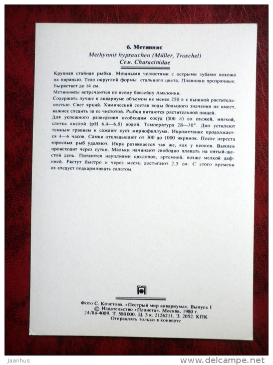 Silver Dollar - Metynnis hypsauchen - aquarium fish - 1980 - Russia USSR - unused - JH Postcards
