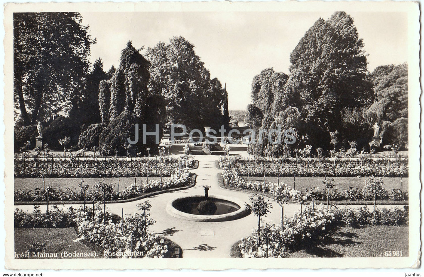 Insel Mainau - Bodensee - Rosengarten - 63981 - 1954 - Germany - used - JH Postcards