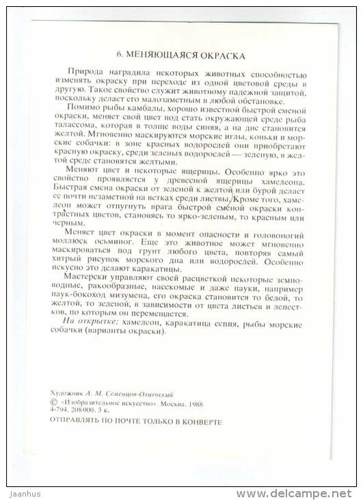 Blennies - Cuttlefish - Chameleon - color changes - Animals defend themselves - 1988 - Russia USSR - unused - JH Postcards