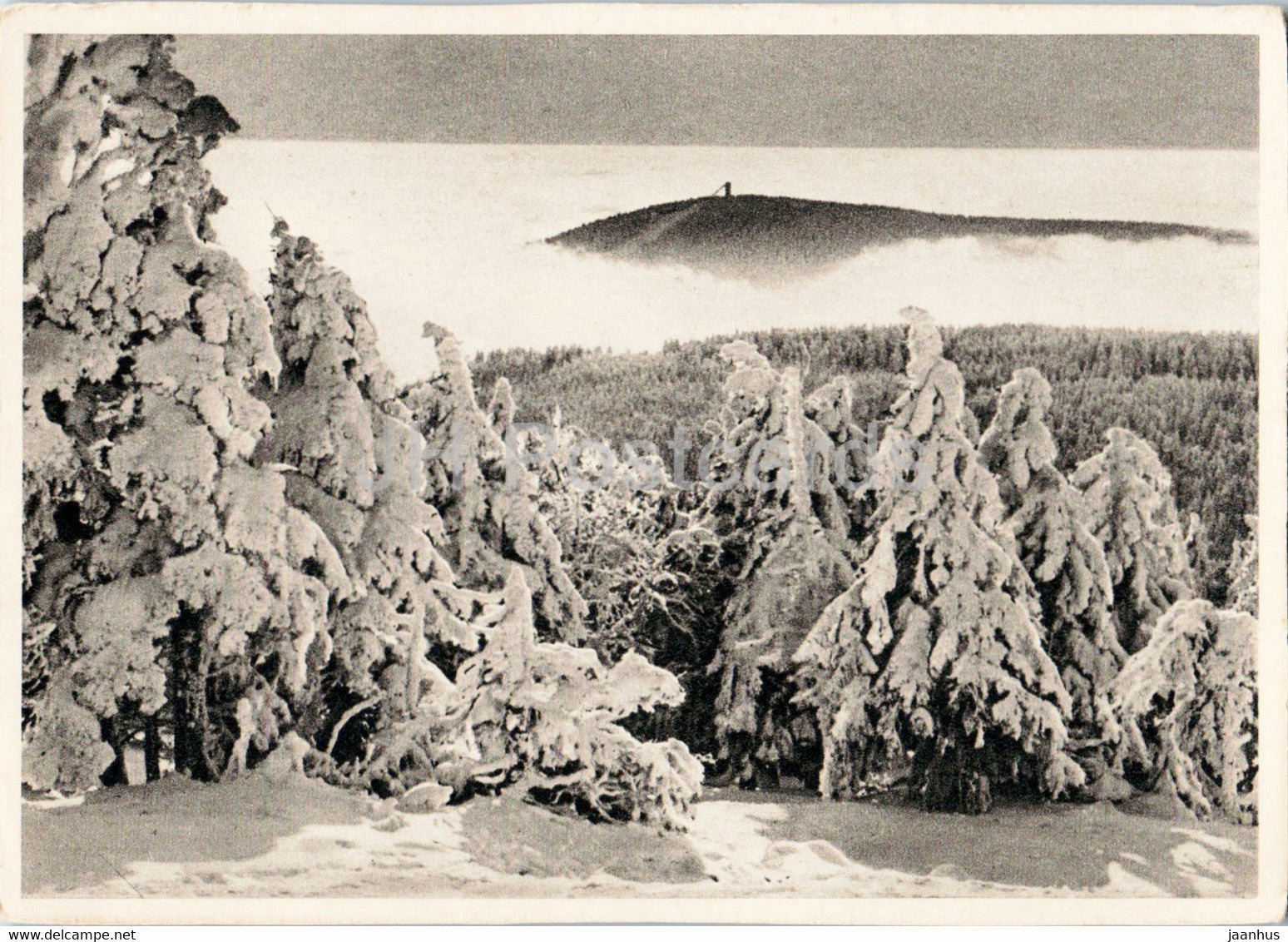 Blick zum Wurmberg - old postcard - 1959 - Germany DDR - unused - JH Postcards