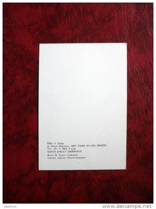 strawberry - berries - plant - mini card - 1987 - Estonia - USSR - unused - JH Postcards