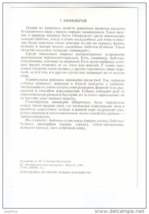 Pieridae - Heliconidae butterfly - mimicry - Animals defend themselves - 1988 - Russia USSR - unused - JH Postcards