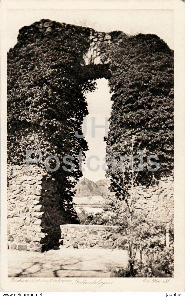 Rolandsbogen - Der Rhein 35 - Richarz Naturaufnahmen - old postcard - Germany - unused - JH Postcards