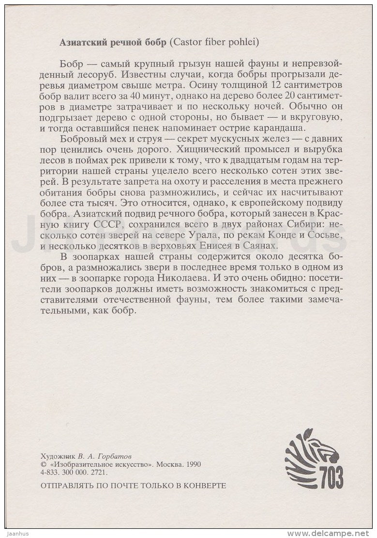Beaver , Castor fiber - Endangered species - illustration by V. Gorbatov - 1990 - Russia USSR - unused - JH Postcards