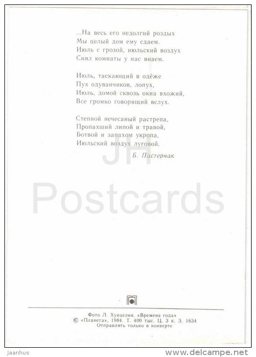 Summer - daisy field - Seasons - 1984 - Russia USSR - unused - JH Postcards