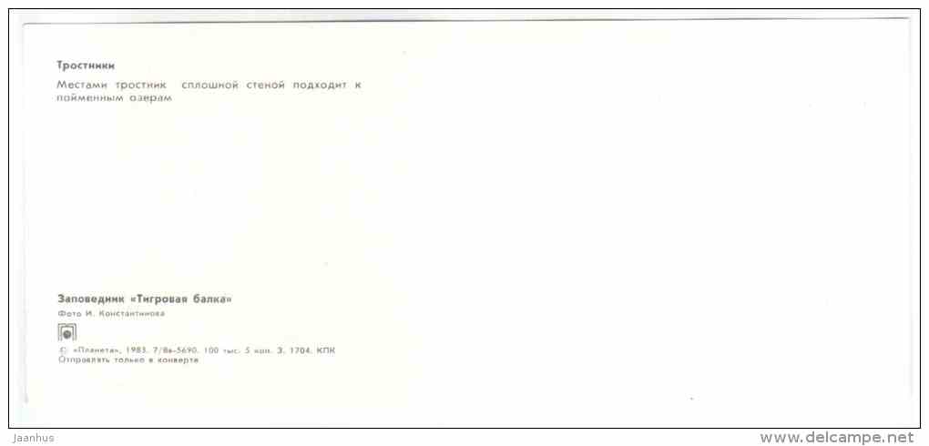 Reeds - Tigrovaya Balka Nature Reserve - 1983 - Russia USSR - unused - JH Postcards