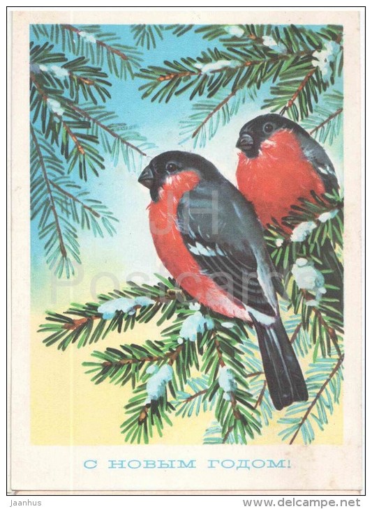 New Year Greeting Card by G. Kurtenko - bullfinch - stationery - 1977 - Russia USSR - unused - JH Postcards