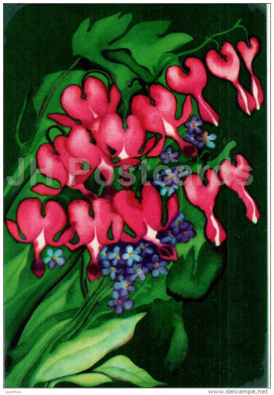illustration by M. Leis - Bleeding Heart - flowers - illustration - 1973 - Estonia USSR - used - JH Postcards
