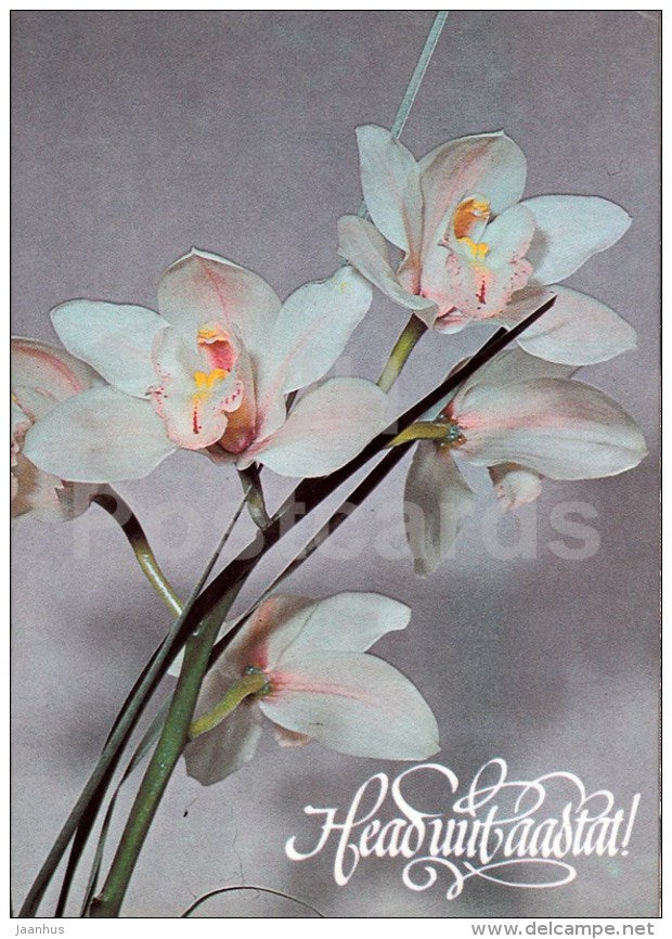New Year Greeting card - white orchid - flowers - 1989 - Estonia USSR - used - JH Postcards