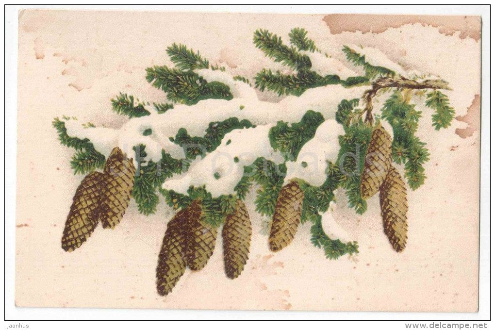 Greeting Card - Fir Cones - MH - old postcard - circulated in Estonia 1940s - JH Postcards