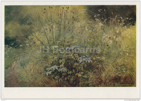 painting by I. Shishkin - Plants , 1892 - weed - grass - Russian art - 1958 - Russia USSR - unused - JH Postcards