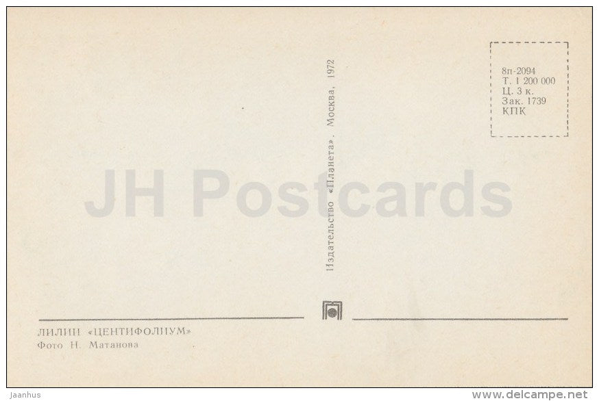 Lily Centifolium - flowers - 1972 - Russia USSR - unused - JH Postcards