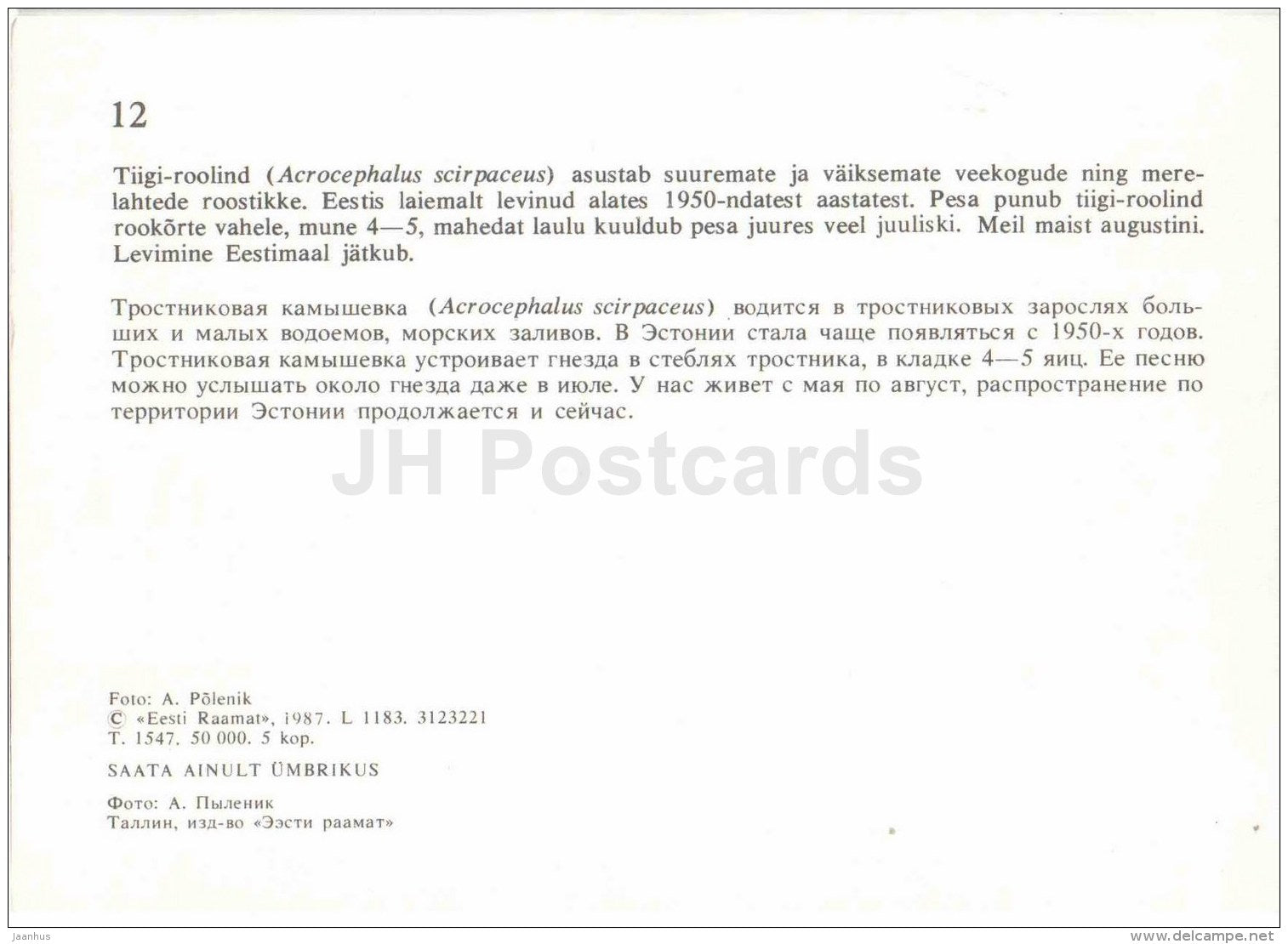 Eurasian reed warbler - Acrocephalus scirpaceus - bird - Estonian Birds - 1987 - Estonia USSR - unused - JH Postcards