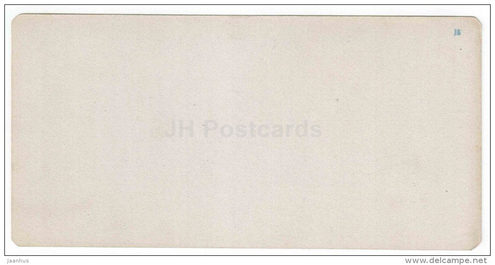 Railway Station Razvalka - hill - Zheleznovodsk - Caucasus - Russia - Russie - stereo photo - stereoscopique - old photo - JH Postcards