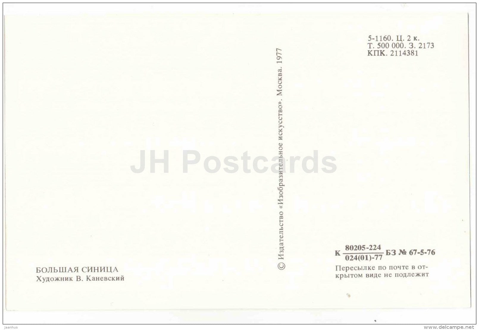 illustration by V. Kanevsky - Great Tit - Parus major - bird - illustration - 1977 - Russia USSR - unused - JH Postcards