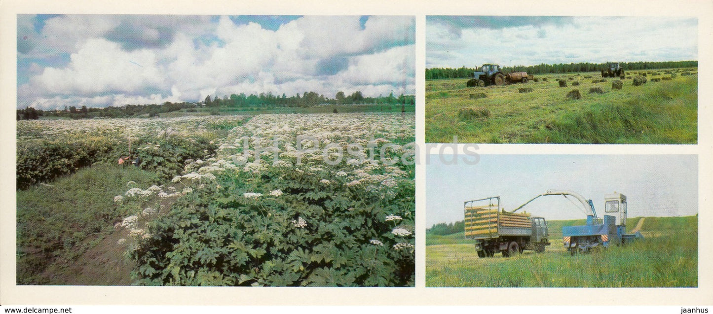 Livestock feed base - tractor - harvester - Komi Republic - 1984 - Russia USSR - unused - JH Postcards