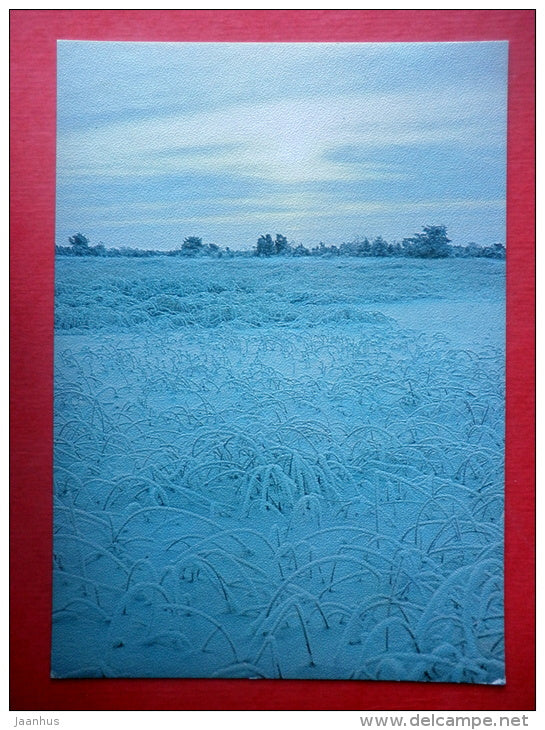 Estonia in Winter - landscape - VI - 1988 - Estonia USSR - unused - JH Postcards