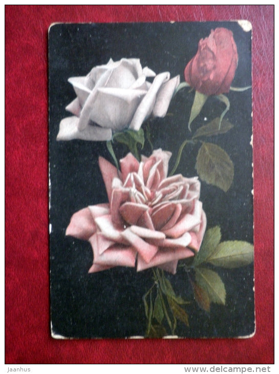 Birthday Greeting Card - roses - flowers - Serie 2025 - circulated in Tsarist Russia 1913 , Reval - used - JH Postcards
