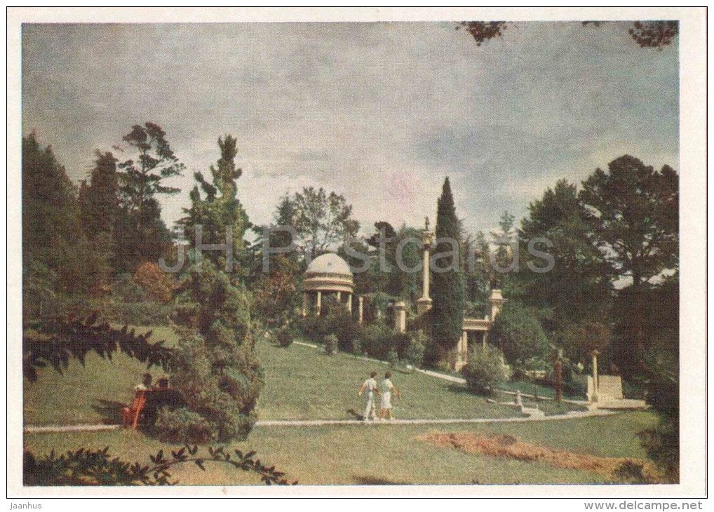 The Black Sea Coast of the Caucasus - In the Sochi Arboretum - 1956 - Russia USSR - unused - JH Postcards