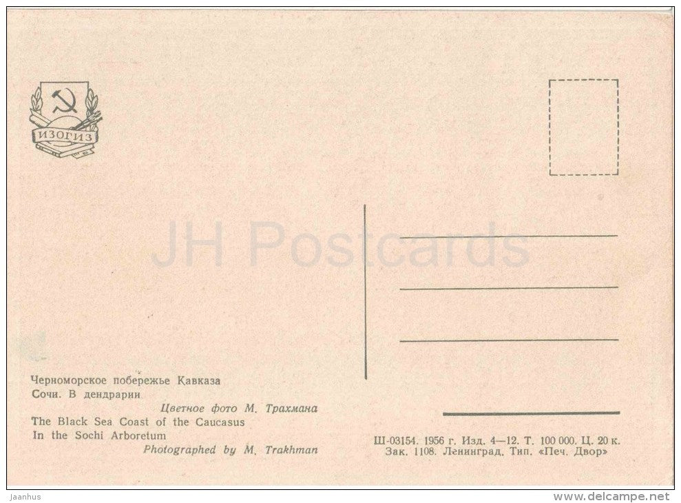 The Black Sea Coast of the Caucasus - In the Sochi Arboretum - 1956 - Russia USSR - unused - JH Postcards