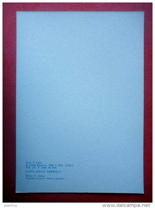Estonia in Winter - landscape - VI - 1988 - Estonia USSR - unused - JH Postcards