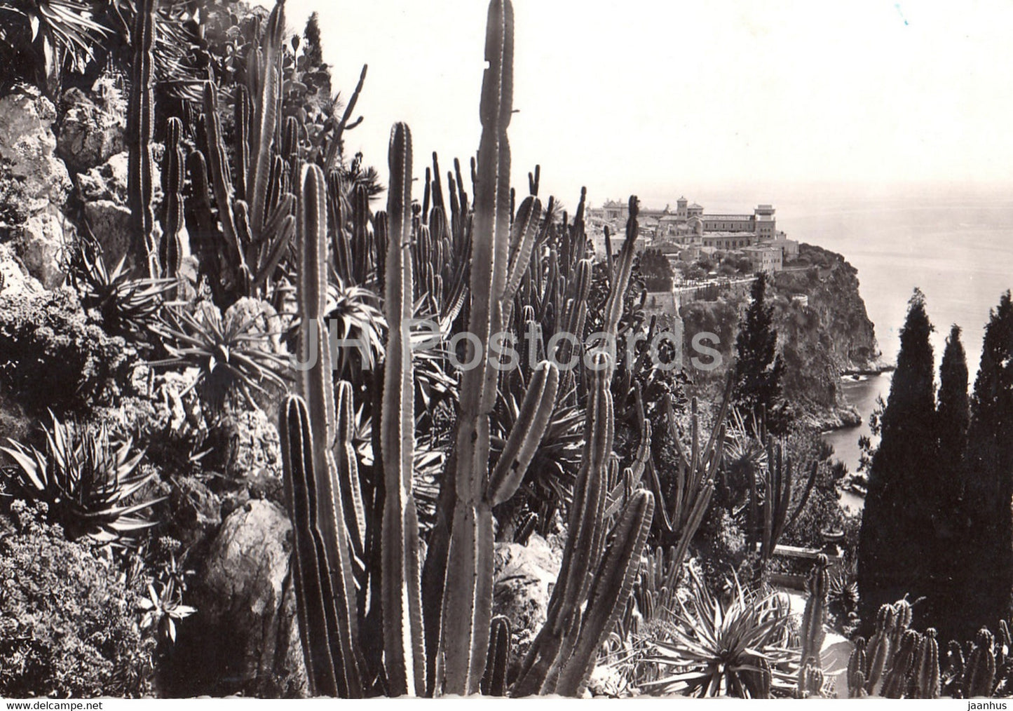 Vue sur le Rocher de Monaco - Les Jardins exotiques - cactus - 1949 - Monaco - used - JH Postcards