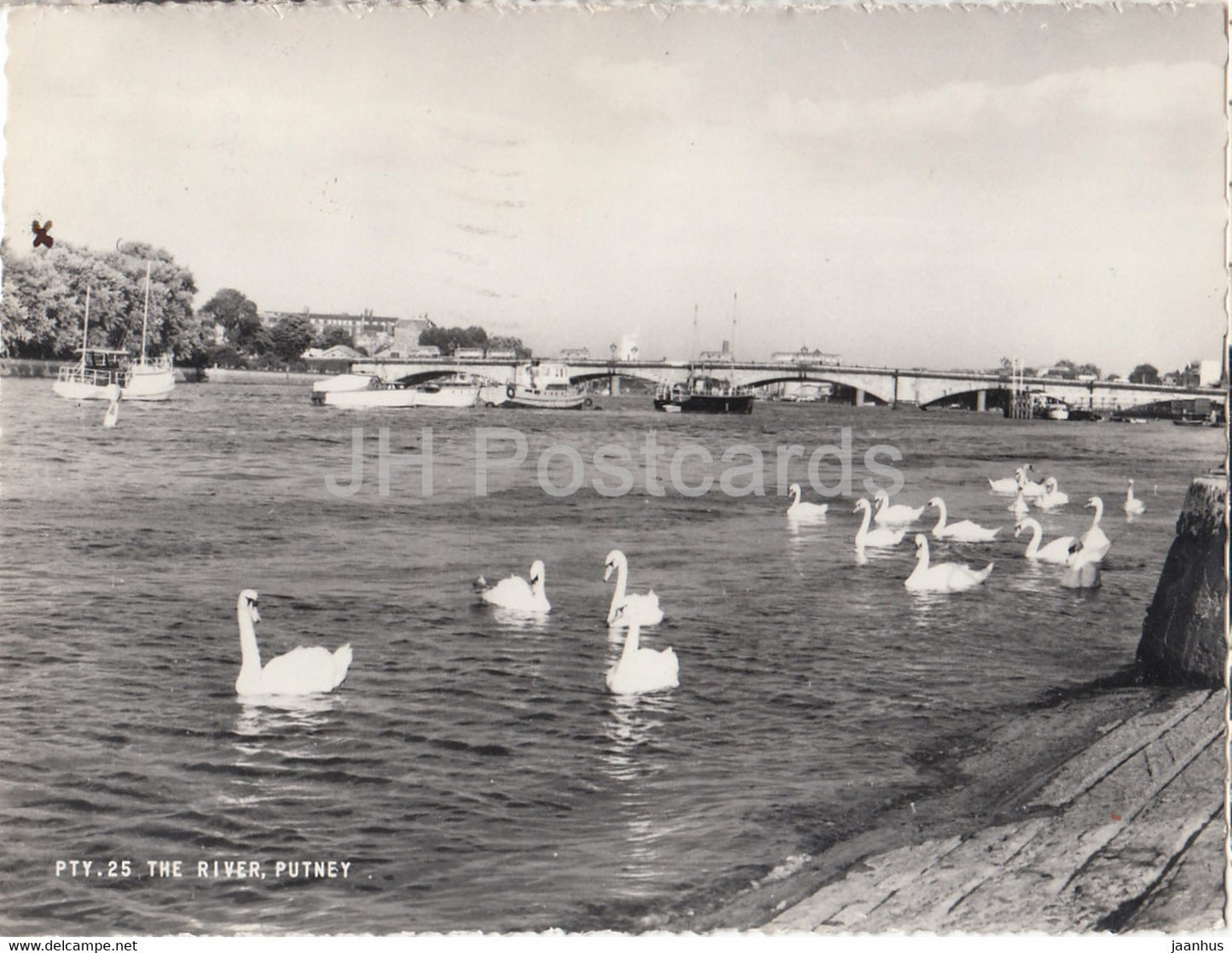 Putney - The River - swan - birds - bridge - 1963 - England - United Kingdom - used - JH Postcards